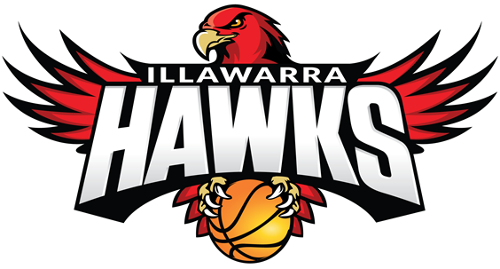 Illawarra Hawks 2015-Pres Primary Logo iron on transfers for clothing